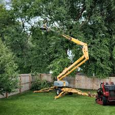 Best Pest Control for Lawns  in Short Hills, NJ
