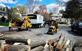 Best Commercial Tree Services  in Short Hills, NJ