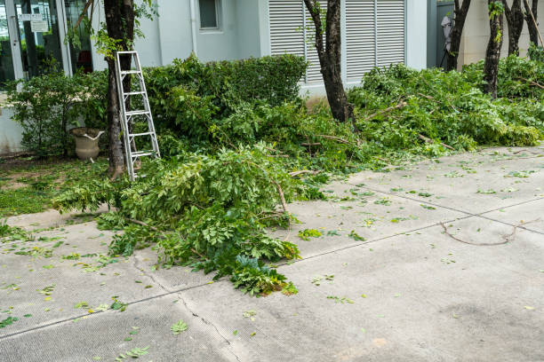 Best Firewood Processing and Delivery  in Short Hills, NJ