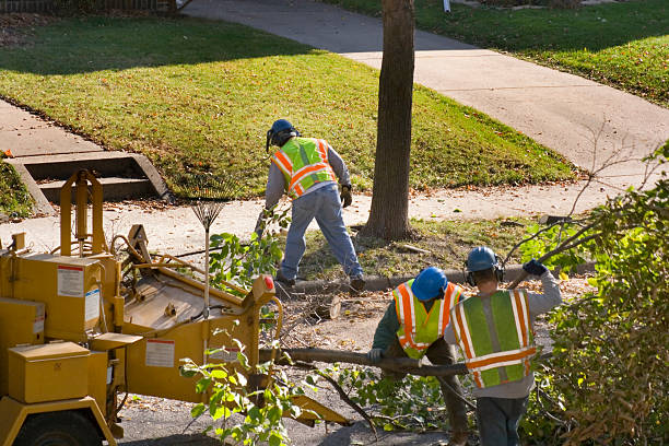 Best Lawn Grading and Leveling  in Short Hills, NJ