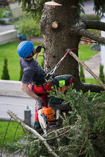 Best Aeration Services  in Short Hills, NJ
